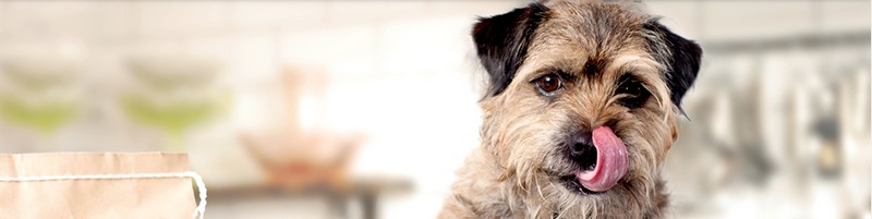 ������y�b�g�̂��߂̖{���̂��͂�w�����[�Y�L�b�`�� �R�e�[�W�p�C�x���T�C�g